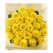 Glowing Roses - 24 Stems Bouquet